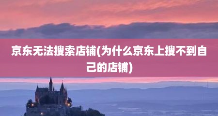 京东无法搜索店铺(为什么京东上搜不到自己的店铺)
