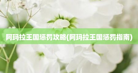 阿玛拉王国惩罚攻略(阿玛拉王国惩罚指南)