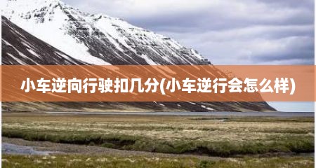 小车逆向行驶扣几分(小车逆行会怎么样)