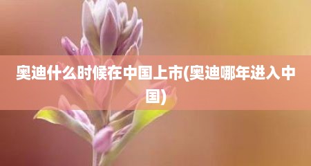 奥迪什么时候在中国上市(奥迪哪年进入中国)