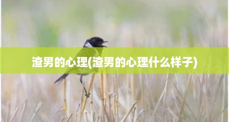 渣男的心理(渣男的心理什么样子)