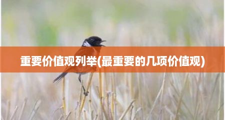 重要价值观列举(最重要的几项价值观)