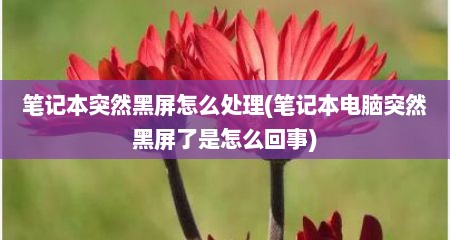 笔记本突然黑屏怎么处理(笔记本电脑突然黑屏了是怎么回事)