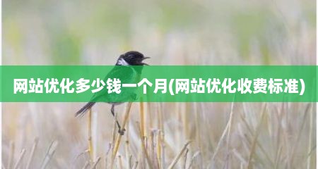 网站优化多少钱一个月(网站优化收费标准)