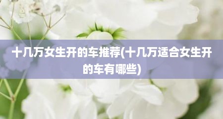 十几万女生开的车推荐(十几万适合女生开的车有哪些)