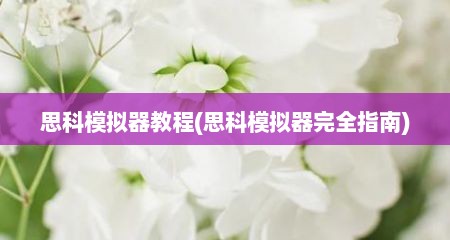 思科模拟器教程(思科模拟器完全指南)