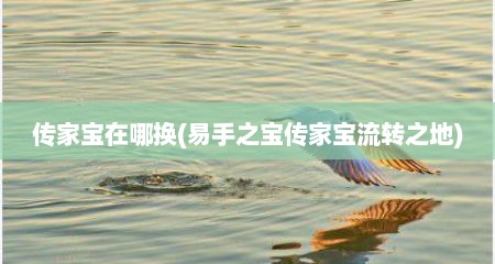 传家宝在哪换(易手之宝传家宝流转之地)
