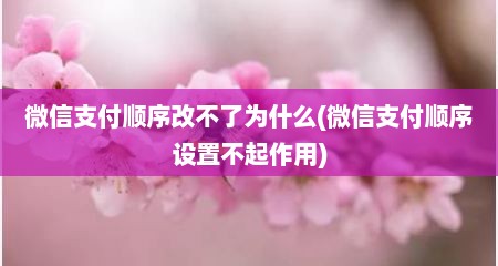微信支付顺序改不了为什么(微信支付顺序设置不起作用)