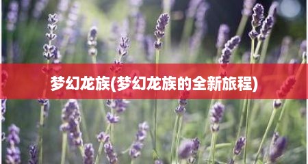 梦幻龙族(梦幻龙族的全新旅程)