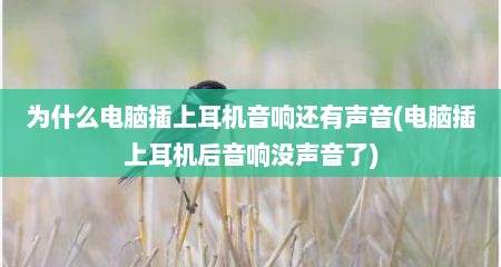 为什么电脑插上耳机音响还有声音(电脑插上耳机后音响没声音了)