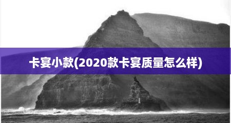 卡宴小款(2020款卡宴质量怎么样)