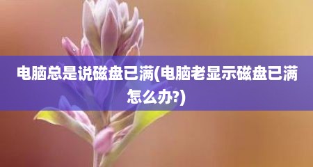 电脑总是说磁盘已满(电脑老显示磁盘已满怎么办?)