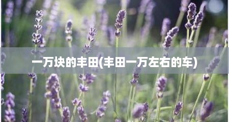 一万块的丰田(丰田一万左右的车)