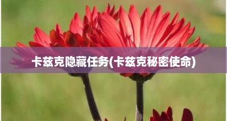 卡兹克隐藏任务(卡兹克秘密使命)