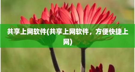 共享上网软件(共享上网软件，方便快捷上网)