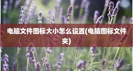 电脑文件图标大小怎么设置(电脑图标文件夹)