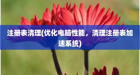 注册表清理(优化电脑性能，清理注册表加速系统)