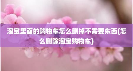 淘宝里面的购物车怎么删掉不需要东西(怎么删除淘宝购物车)