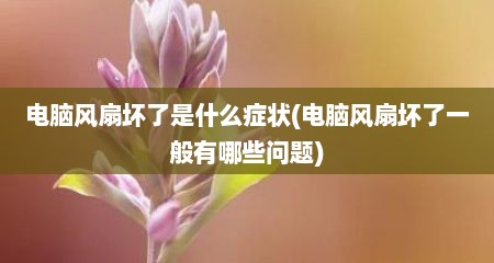 电脑风扇坏了是什么症状(电脑风扇坏了一般有哪些问题)