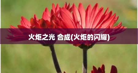 火炬芝光 合成(火炬的闪耀)