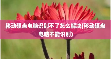 移动硬盘电脑识别不了怎么解决(移动硬盘电脑不能识别)