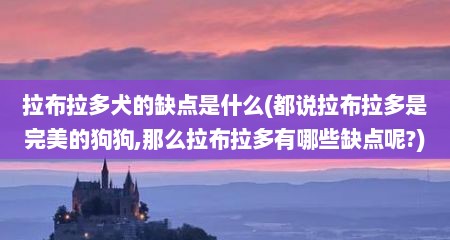 拉布拉多犬的缺点是什么(都说拉布拉多是完美的狗狗,那么拉布拉多有哪些缺点呢?)