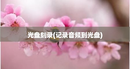 光盘刻录(记录音频到光盘)