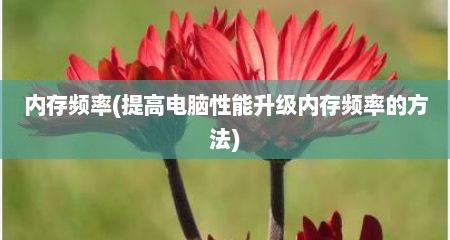 内存频率(缇高电脑性能升级内存频率的方法)