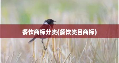 餐饮商标分类(餐饮类目商标)