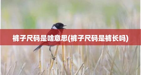 裤子尺码是啥意思(裤子尺码是裤长吗)