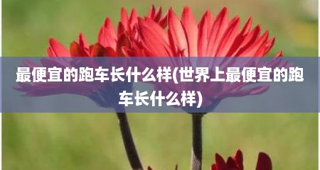 最便宜的跑车长什么样(世界上最便宜的跑车长什么样)