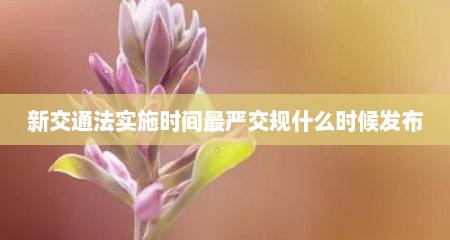 新交通法实施时间最严交规什么时候发布