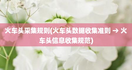 火车头采集规则(火车头数居收集准则 → 火车头信息收集规范)