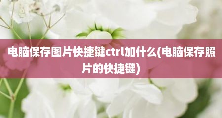 电脑保存图片快捷键ctrl加什么(电脑保存照片的快捷键)