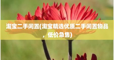 淘宝二手闲置(淘宝精选优质二手闲置物品，低价急售)