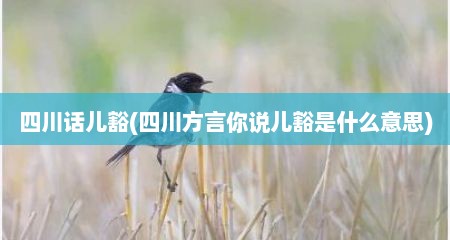 四川话儿豁(四川方言你说儿豁是什么意思)