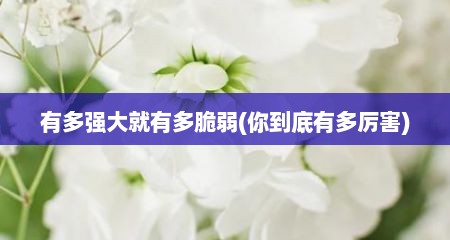 有多强大就有多脆弱(你到底有多厉害)