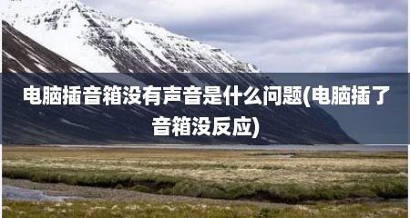 电脑插音箱没有声音是什么问题(电脑插了音箱没反应)
