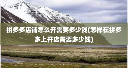 拼多多店铺怎么开需要多少钱(怎样在拼多多上开店需要多少钱)