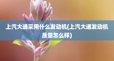上汽大通采用什么发动机(上汽大通发动机质量怎么样)