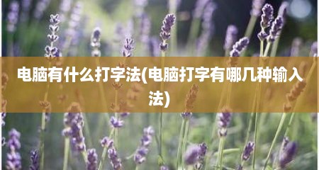 电脑有什么打字法(电脑打字有哪几种输入法)