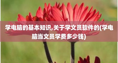 学电脑的基本知识,关于学文员软件的(学电脑当文员学费多少钱)