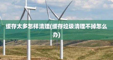 缓存太多怎样清理(缓存垃圾清理不掉怎么办)