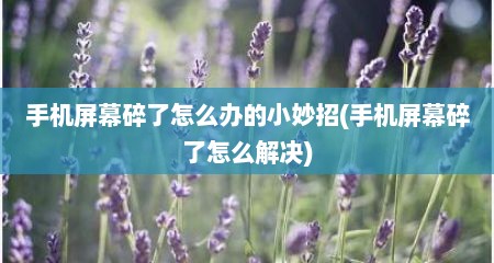 手机屏幕碎了怎么办的小妙招(手机屏幕碎了怎么解决)
