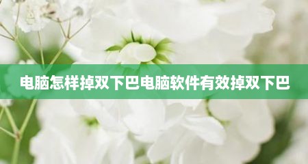 电脑怎样掉双下巴电脑软件有效掉双下巴