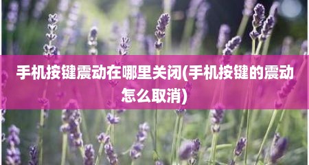手机按键震动在哪里关闭(手机按键的震动怎么取消)