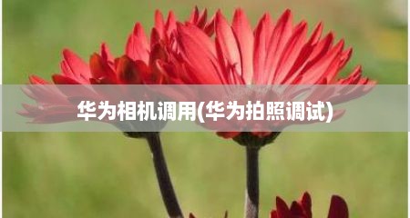 华为相机调用(华为拍照调试)