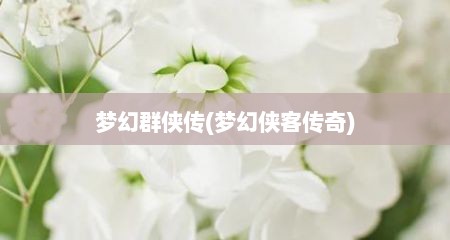 梦幻群侠传(梦幻侠客传奇)