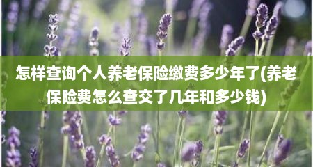 怎样查询个人养老保险缴费多少年了(养老保险费怎么查交了几年和多少钱)