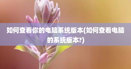 如何查看你的电脑系统版本(如何查看电脑的系统版本?)
